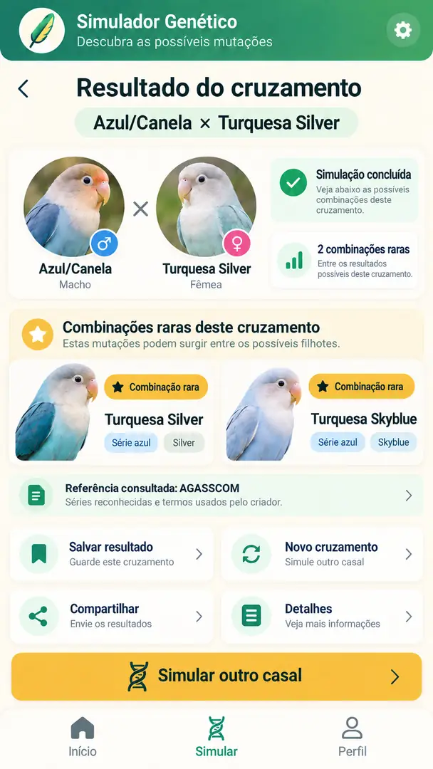 Imagem 4